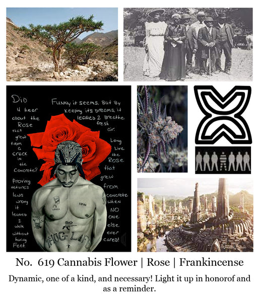 Juneteenth no. 619 Collection